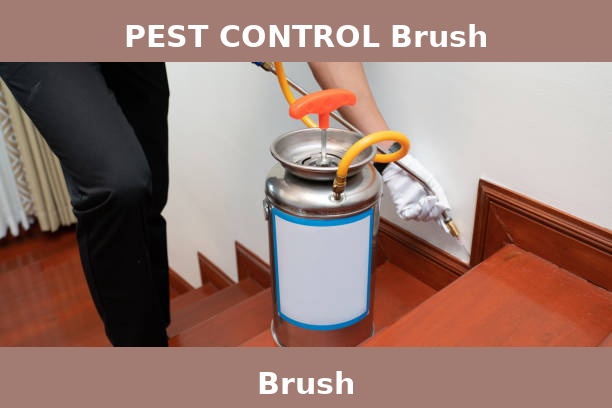 PEST CONTROL Brush